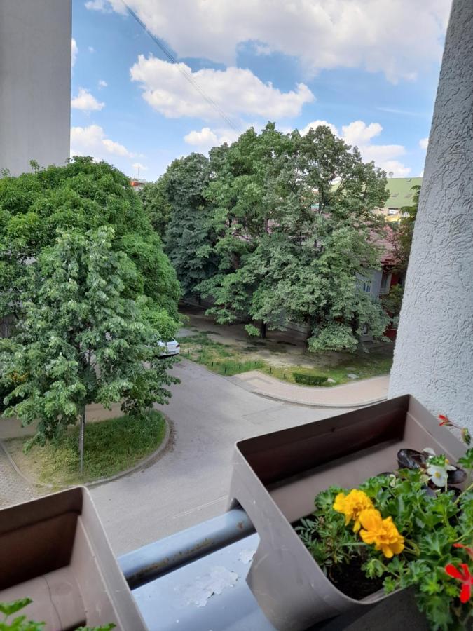 Apartman Aurora Újvidék Kültér fotó